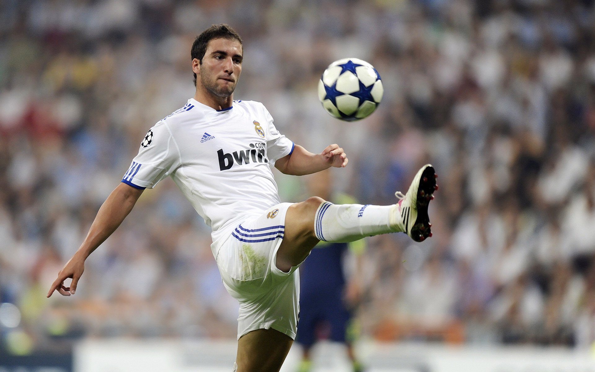 开云体育下载官网-“德甲冠军争夺战进入关键期，豪门逐步逼近”，德甲冠军规则